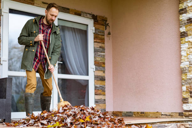 Best Junk Removal Near Me  in Circleville, OH